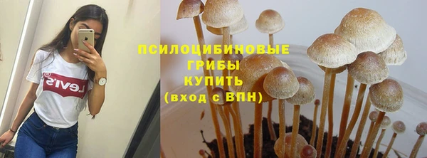 мет Алексин
