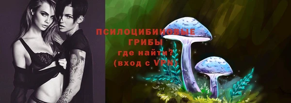 бошки Алексеевка