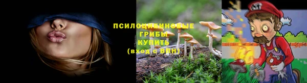 гидра Алзамай