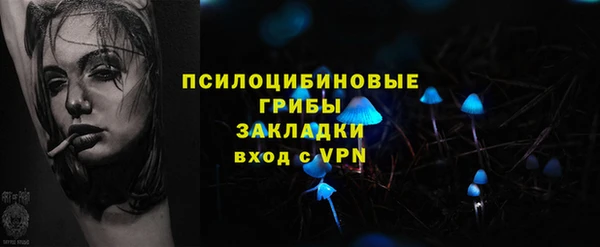 гидра Алзамай