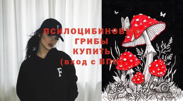 бошки Алексеевка