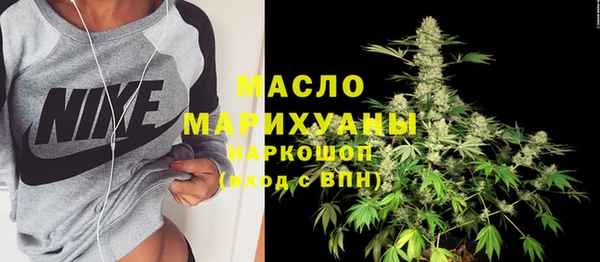 мет Алексин