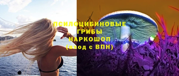 мет Алексин