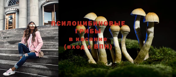 гидра Алзамай