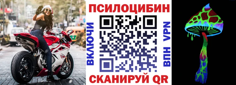 купить  сайты  Киреевск  Псилоцибиновые грибы Psilocybe 